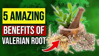 5 AWESOME Valerian Root Benefits [upl. by Wendt]