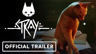 Stray  Official Xbox Release Date Trailer  Annapurna Interactive Showcase 2023 [upl. by Vanni]