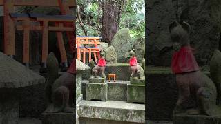 Santuario de Inari Tori en Kioto [upl. by Dori]