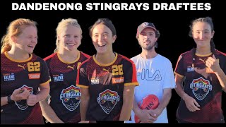 DANDENONG STINGRAYS DRAFTEES aflw [upl. by Nassah]