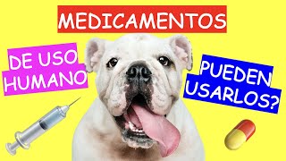 ¿Se puede USAR MEDICAMENTOS DE USO HUMANO en MASCOTAS [upl. by Reginauld]