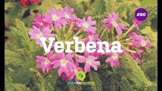 Verbena [upl. by Jaunita589]