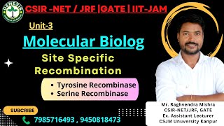 Site Specific Recombination  Tyrosine amp Serine Recombinase  L13  Molecular Biology  Unit3 [upl. by Asirrac]