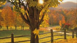 Tie a yellow ribbon round the ole oak tree Lyrics Fixed [upl. by Eanrahs]