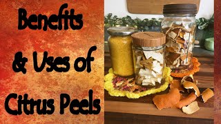 Benefits and Uses of Citrus Peels [upl. by Gustavo810]