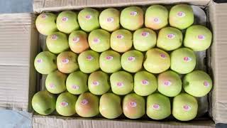 Green Golden Apple Half Box 850  Todays Apple Market Update  Himalayanfarming  Live Update [upl. by Airdnola720]