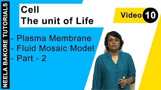 Cell  The Unit of Life  NEET  Plasma Membrane  Fluid Mosaic Model  Part  2  Neela Bakore [upl. by Askwith]