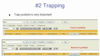 The Division Classes Explained  How Do Classes Work  Division Gameplay [upl. by Aisinut]