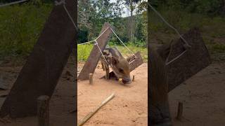 Amazing technique to make a wild boar trap by Double knife primitiveskills shortvideo shorts [upl. by Enirehs]