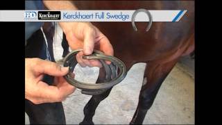 FootPro Series  Standardbred Evaluation [upl. by Horton262]