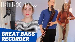 Intro to GREAT BASS Recorder  Team Recorder [upl. by Hufnagel]