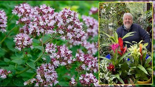 ORIGAN ET MARJOLAINE PLANTES AROMATIQUES AUX SUBTILES SAVEURS D’ITALIE Le Quotidien du Jardin N°324 [upl. by Devonna]