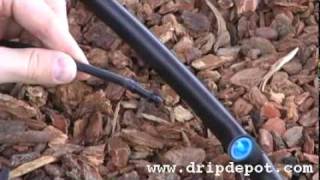 Drip Irrigation Systems How to install Pressure Compensating Button Drippers [upl. by Nevins]