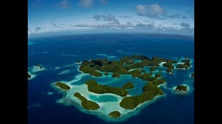 Croisière plongée à Palau  Les Exclusive Ultramarina [upl. by Blunk]