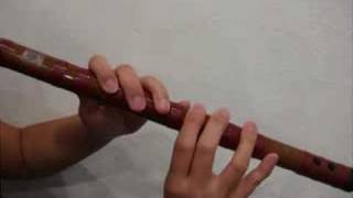 Basic introduction of the Dizi Chinese Bamboo Flute [upl. by Trenton291]