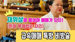 급속매매특방비방술 1편주택아파트오피스텔매매가 어려운 분들에게 quot재위살quot을 풀어 신속한매매가 가능한 방법을 알려드립니다촌철살인조선생 무속인조현우 상담01055755669 [upl. by Felice135]