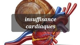 PHYSIOPATHOLOGIE DE LINSUFFISANCE CARDIAQUE [upl. by Edin]