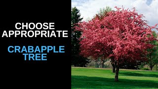 A Guide Choose an Appropriate Crabapple Tree [upl. by Hawk]