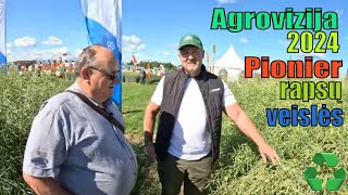 Agrovizija 2024 Pionier rapso veislės [upl. by Aninay565]