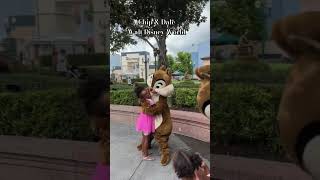 Chip and Dale at Walt Disney World waltdisneyworld disneyparks orlandoflorida chipanddale [upl. by Saticilef]