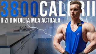 CUM IMI PREPAR MESELE meniu masa musculara [upl. by Natrav]