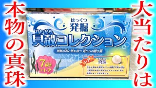 本物の「真珠」をねらえ！発掘 貝殻コレクション 開封レビュー【PART2】 [upl. by Yenittirb]