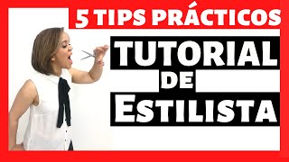 Cualidades para SER un ESTILISTA PROFESIONAL Parte 2  ✂️ Curso Técnicas de Corte 02 [upl. by Tama36]