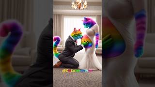 happy life of a rainbow cat family😻💞 pets cute cat [upl. by Aicertap681]