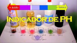 INDICADOR DE PH CASERO [upl. by Suired242]