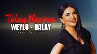 Tülay Maciran  Weylo Kürtçe Halay Remix  Türkü Trap Remix 2024 [upl. by Hammel]