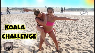 KOALA CHALLENGE [upl. by Teews]