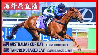 【海外馬直播】Australian Cup 澳洲盃 Flemington Racecourse 費明頓馬場 Tancred Stakes 鄧格錦標 Rosehill 玫瑰崗 Australia 澳洲 [upl. by Novak]