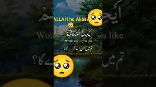 ALLAH SY DAROHallahloves allahuakbar subhanallahforeverything [upl. by Alarise]