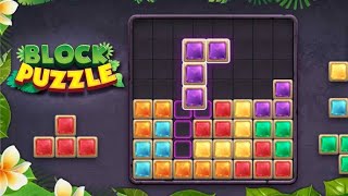 Block Puzzle Game 🧩 Level 117 [upl. by Ayifa]