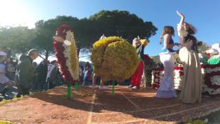 Corso Fleuri Bormes les Mimosas février 2017 [upl. by Yur]