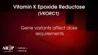 Spotlight on Testing Warfarin Pharmacogenetics [upl. by Eiggep]