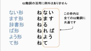 14 日本語教師が知らなかった動詞活用の教え方 G2動詞全般 [upl. by Acile]