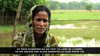 Nipa rizicultrice bangladaise au coeur du climat de mousson [upl. by Mailli]