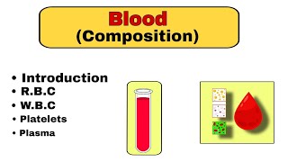 Blood Anatomy and Physiology  Composition of the Blood  education science [upl. by Rovner]