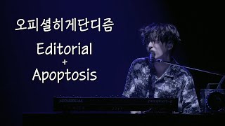 오피셜히게단디즘official髭男dism  Editorial  Apoptosis LIVE [upl. by Atirabrab]