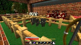 Soartex Fanver Texture Pack Review Minecraft 131 [upl. by Nosrej]