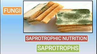 Class 7 Science Chapter 1 Part 2Saprotrophs Symbiosis ParasitesInsectivorous plant [upl. by Aro]