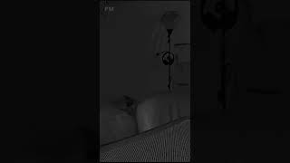 ⚠️Les videos paranormales les plus effrayantes⚠️ creepy paranormal [upl. by Thoma]