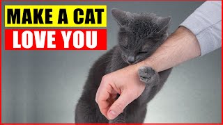 10 Scientific Ways to Get a Cat to Like You [upl. by Eitsyrhc241]