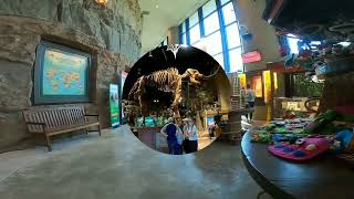 Creation Museum Center Indoor KENTUCKY USA [upl. by Eniamrehs]