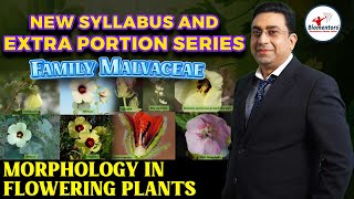 New syllabus and Extra portion Series I Family Malvaceae I Morphology in flowering plants [upl. by Jacky]