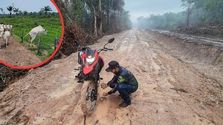 PEGAMOS MUITA CHUVA E ATOLAMOS NO NOSSO ATERRO FOI O JEITO RANCAR TUDO [upl. by Zoba]