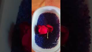 How to preserve flowers  resin resinart handmade handmade smallbusiness craft crafts fyp [upl. by Terrag]