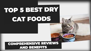 Top 5 Best Dry Cat Foods Comprehensive Reviews and Benefits [upl. by Sharlene]