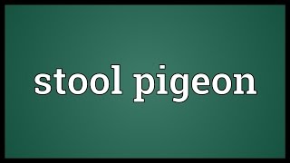 Stool pigeon Meaning [upl. by Howey]